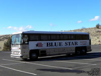 Blue Star Charters and Tours 22