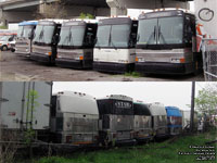 Star Coach Service Canada