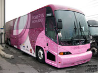 The Pink Tour