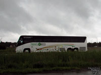 Travel By Bus 5623