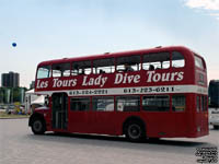 Lady Dive Tours