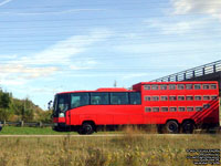 Unidentified Bus