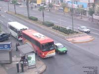 A Marcopolo Allegro and a Monterrey transit bus