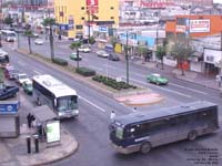 Monterrey transit bus