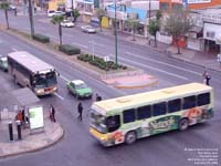 Monterrey transit bus