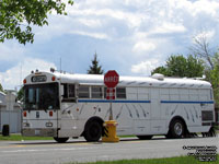 Blue Bird Motorhome