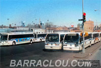 NYCB RTS buses