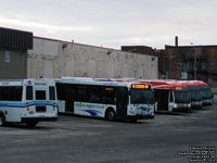 Niagara Falls Transit 2190 - 2011 Orion VII