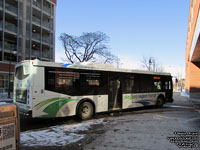 Niagara Falls Transit 2191 - 2011 Orion VII
