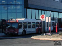 OC Transpo 6391 - 2008 New Flyer D60LF - has GPS