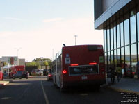 OC Transpo 6625 - 2011 New Flyer D60LF - has GPS