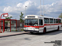 OC Transpo 8769 - 1987 Classic