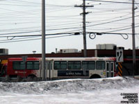 OC Transpo 9828 - 1998 Orion V