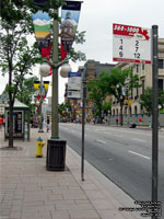 OC Transpo and STO bus signs