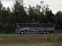 Prfrence 5331 - Van Hool C2145