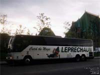 Leprechaun 819