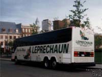 Leprechaun 819