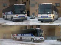 Moncton Transit 325 - Tours to Remember