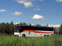 New Golden Horse NGH Tours 3869 - Prevost H3-45