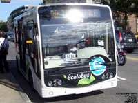 RTC 0893 - Ecolobus - 2008 Technobus Gulliver