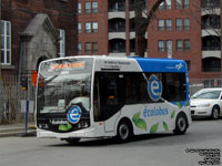 RTC 0894 - Ecolobus - 2008 Technobus Gulliver - Caught fire on August 14th, 2011