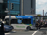 RTC 0895 - Ecolobus - 2008 Technobus Gulliver