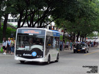 RTC 0895 - Ecolobus - 2008 Technobus Gulliver