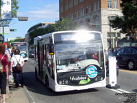 RTC 0897 - Ecolobus - 2008 Technobus Gulliver - Caught fire on August 24th, 2011