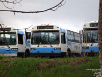 RTC 8543 - 1985 MCI Classic TC40102N (retired)