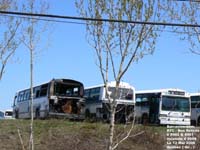 RTC 9509, 8902 & 8901 - 1995 & 1989 Novabus Classic TC40102N