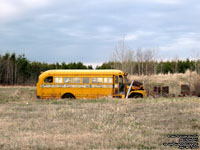 School Bus