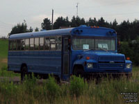 School Bus