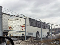 Unidentified Blue Bird Bus TC3000