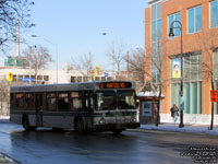 St. Catharines 0607 - 2006 New Flyer D40LF