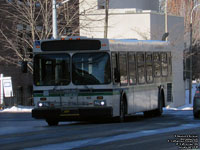 St. Catharines 103 - 2004 New Flyer D40LF