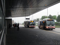 Toronto Transit Commission - TTC 1356 - 2007 Orion VII NG Hybrid