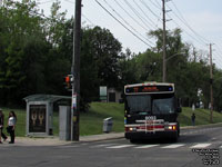 Toronto Transit Commission - TTC 8093 - 2007 Orion VII Low Floor