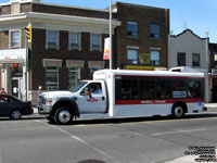 Toronto Transit Commission Wheel-Trans - TTC W142 - 2009-2010 Ford/Dallas Smith/StarTrans F-450/The Friendly Bus