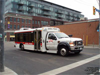 Toronto Transit Commission Wheel-Trans - TTC W207 - 2009-2010 Ford/Dallas Smith/StarTrans F-450/The Friendly Bus