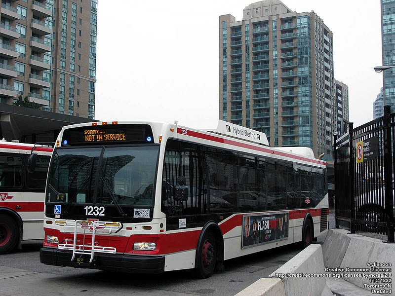 ttc1232.jpg