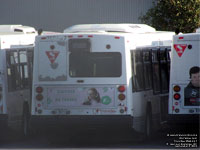 Veolia Transport 56901 - 2007 Novabus LFS Suburban