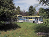 Ex-Lethbridge Transit 106, 107 and 102