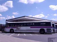 PVTA 1172 - 1992 TMC RTS-06 (T80-206)