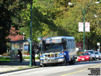 TransLink S351 - 2008 GMC C5500 / ElDorado Aero Elite - Surrey