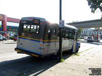 TransLink S367- 2009 GMC C5500 / ElDorado Aero Elite - Surrey