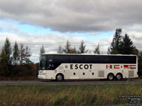 Escot 8668