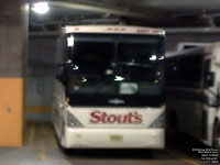 Stout's