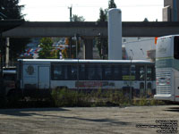 VTC 188 - 1997 Eldorado Nation Escort RE (Ex-Gray Line West 583)