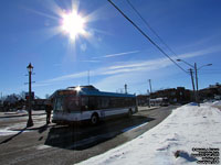 Welland Transit 1157 - 2002 New Flyer D40i (Ex-London Transit 411)