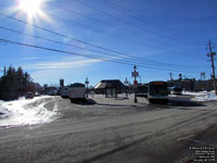 Welland Transit - Transit Centre